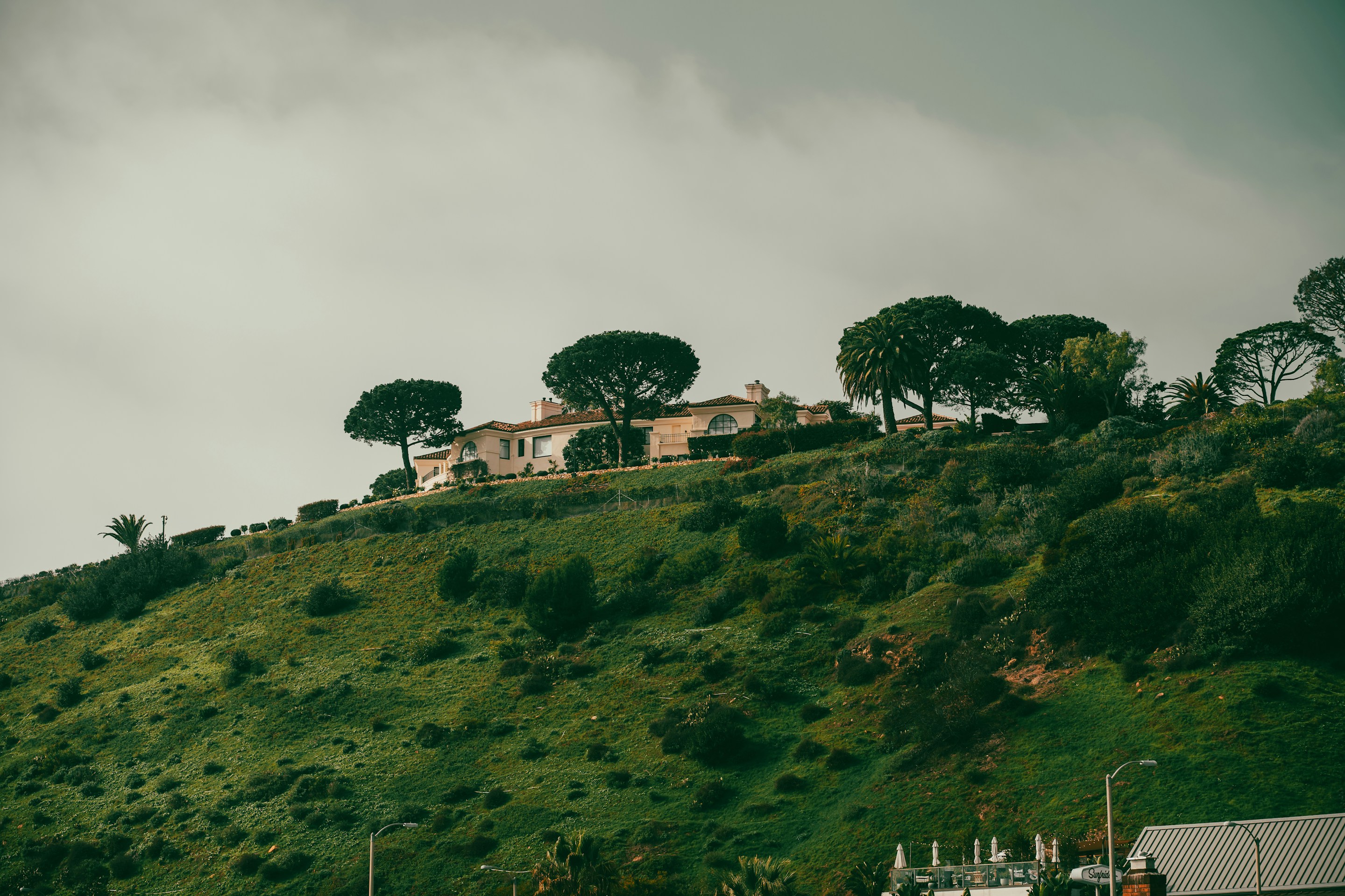 lacus, tincidunt non.